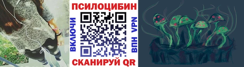 mega tor Облучье Псилоцибиновые грибы Magic Shrooms